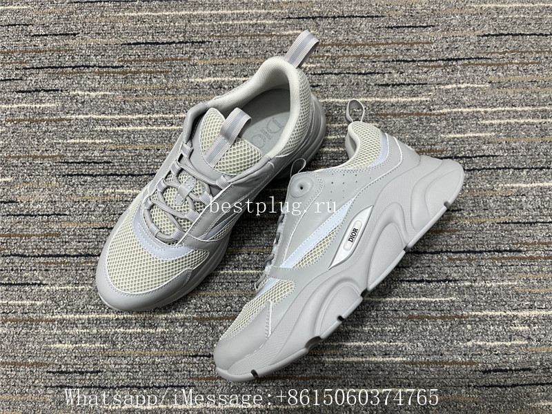 Christian Dior B22 Sneaker Grey