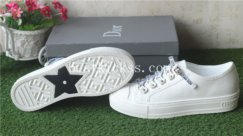 Christian Dior Low Top Sneaker White Canvas