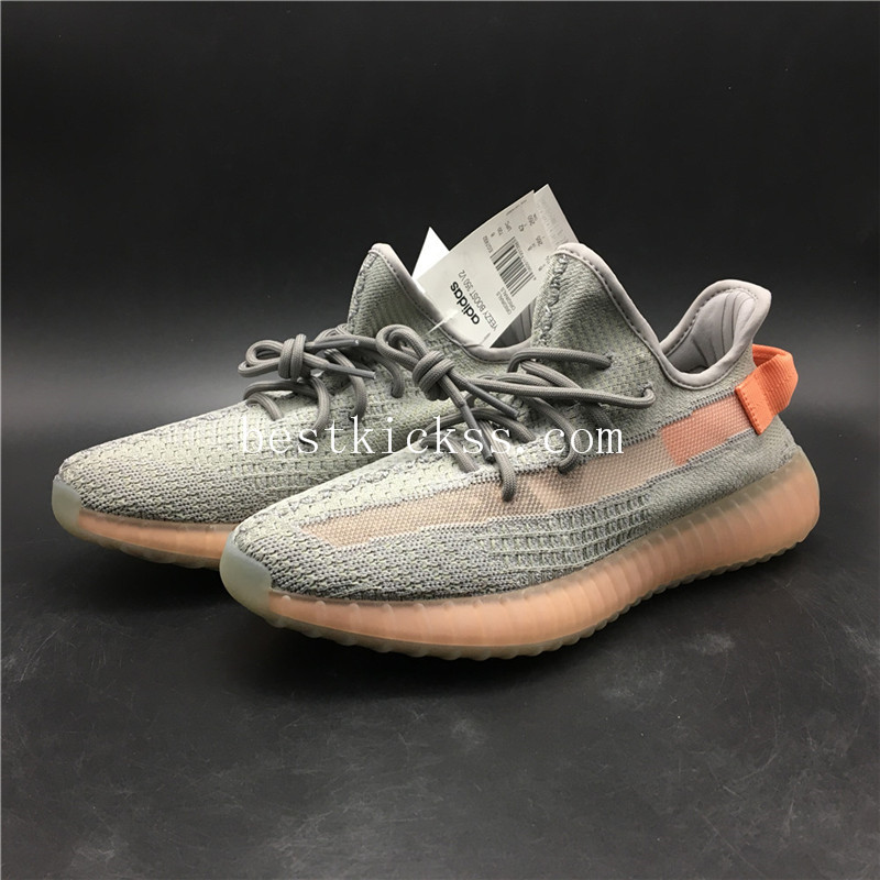 Adidas Yeezy Boost 350 v2 True Form