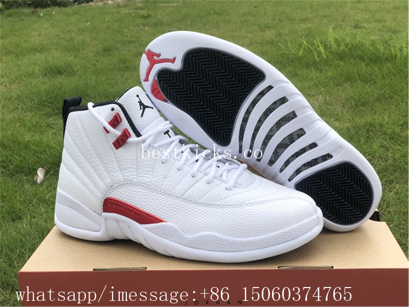 Air Jordan 12 Retro Twist