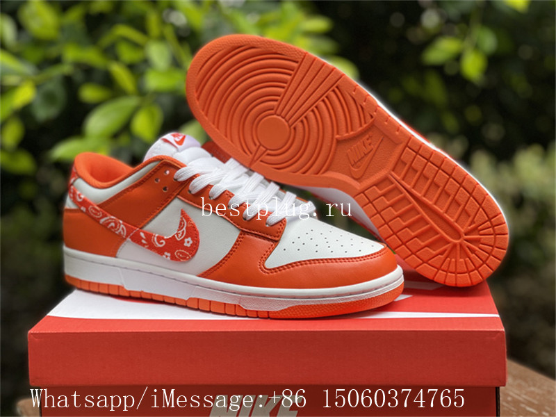 Nike Dunk Low Orange Paisley