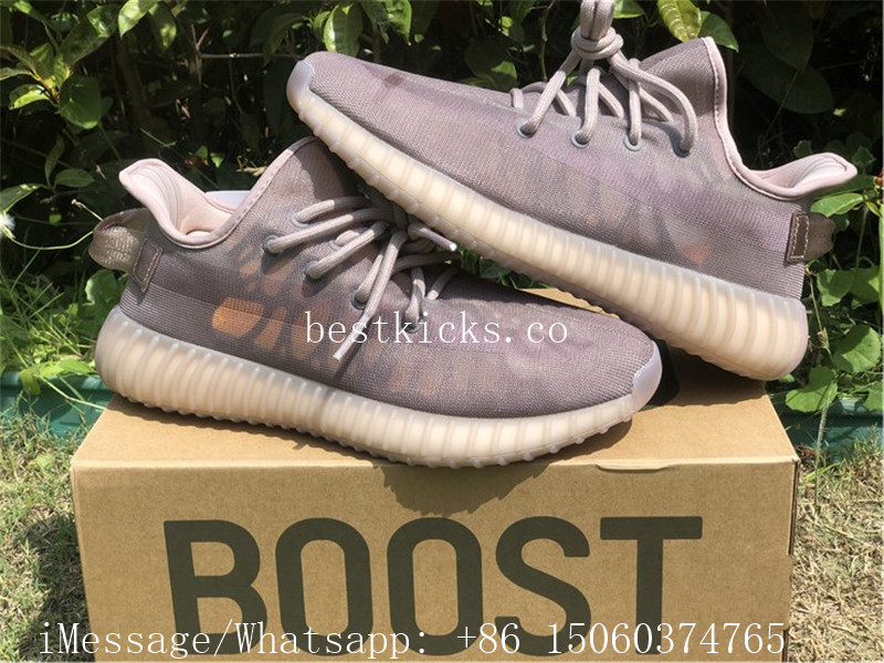 Adidas Yeezy 350 V2 Mono Mist